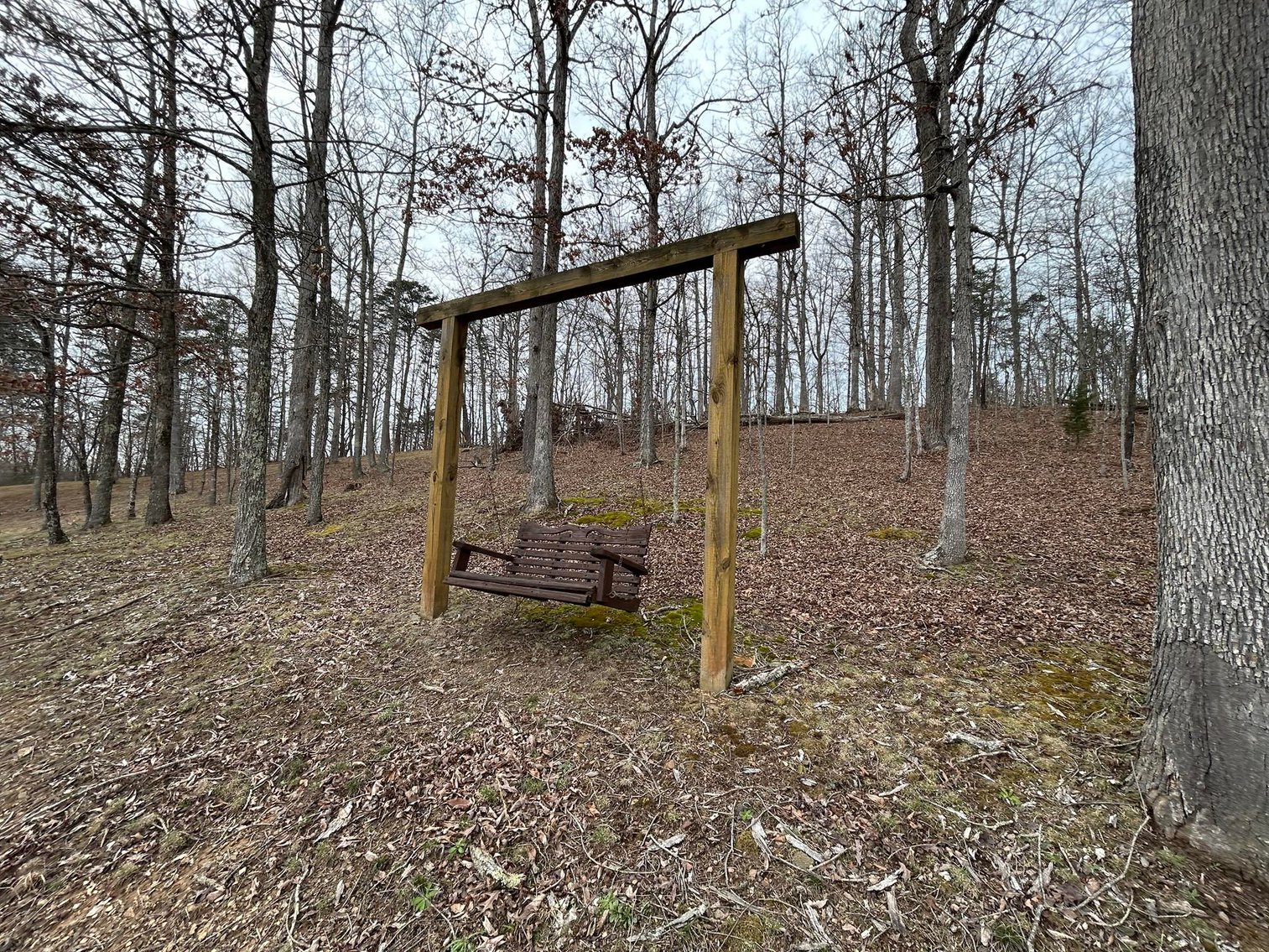Image for Beautiful Log Home on nearly 26 Acres in Boyd County, Kentucky