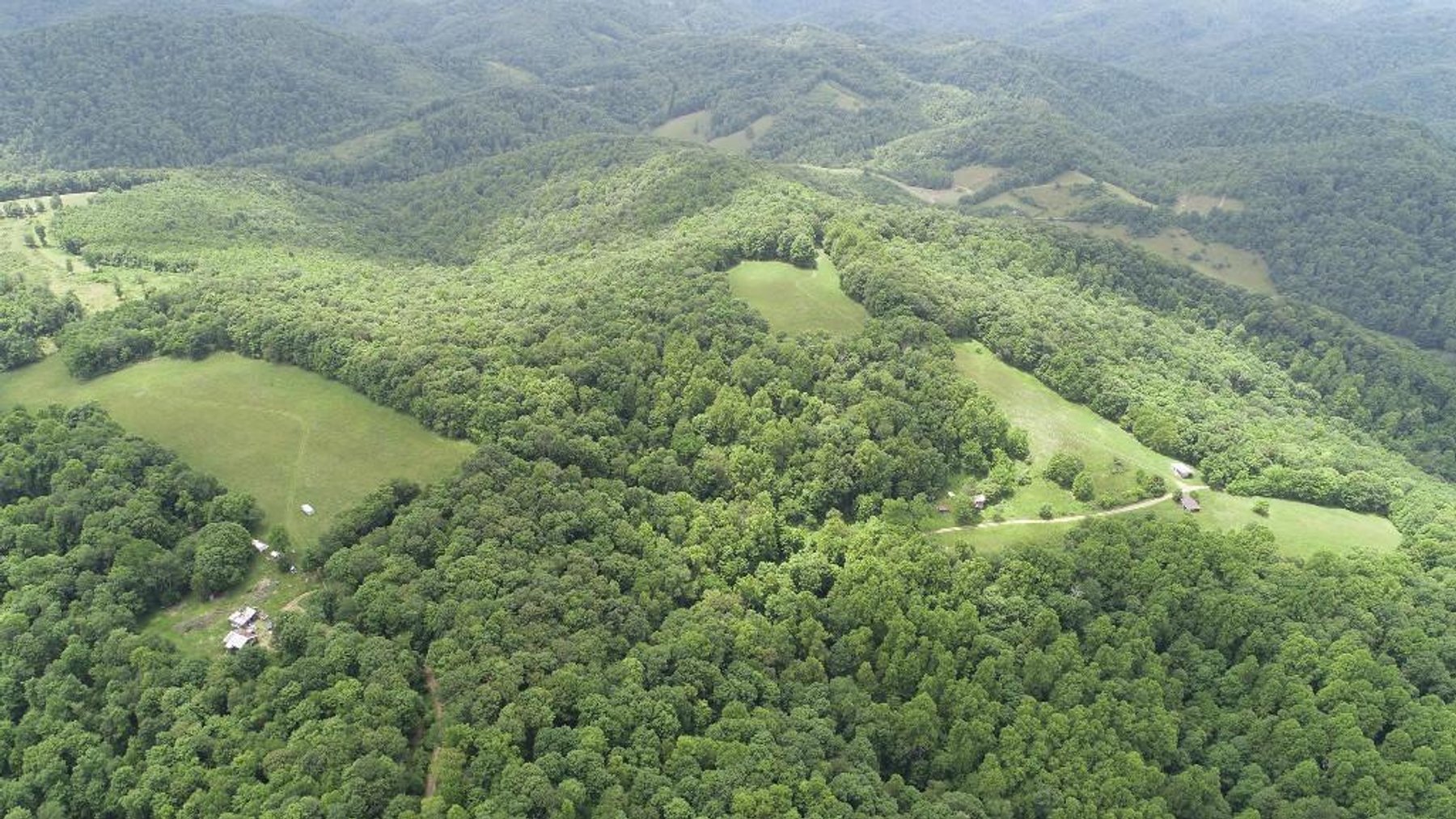 Image for SOLD $324,500 - 110 Acres with Minerals & Marketable Timber