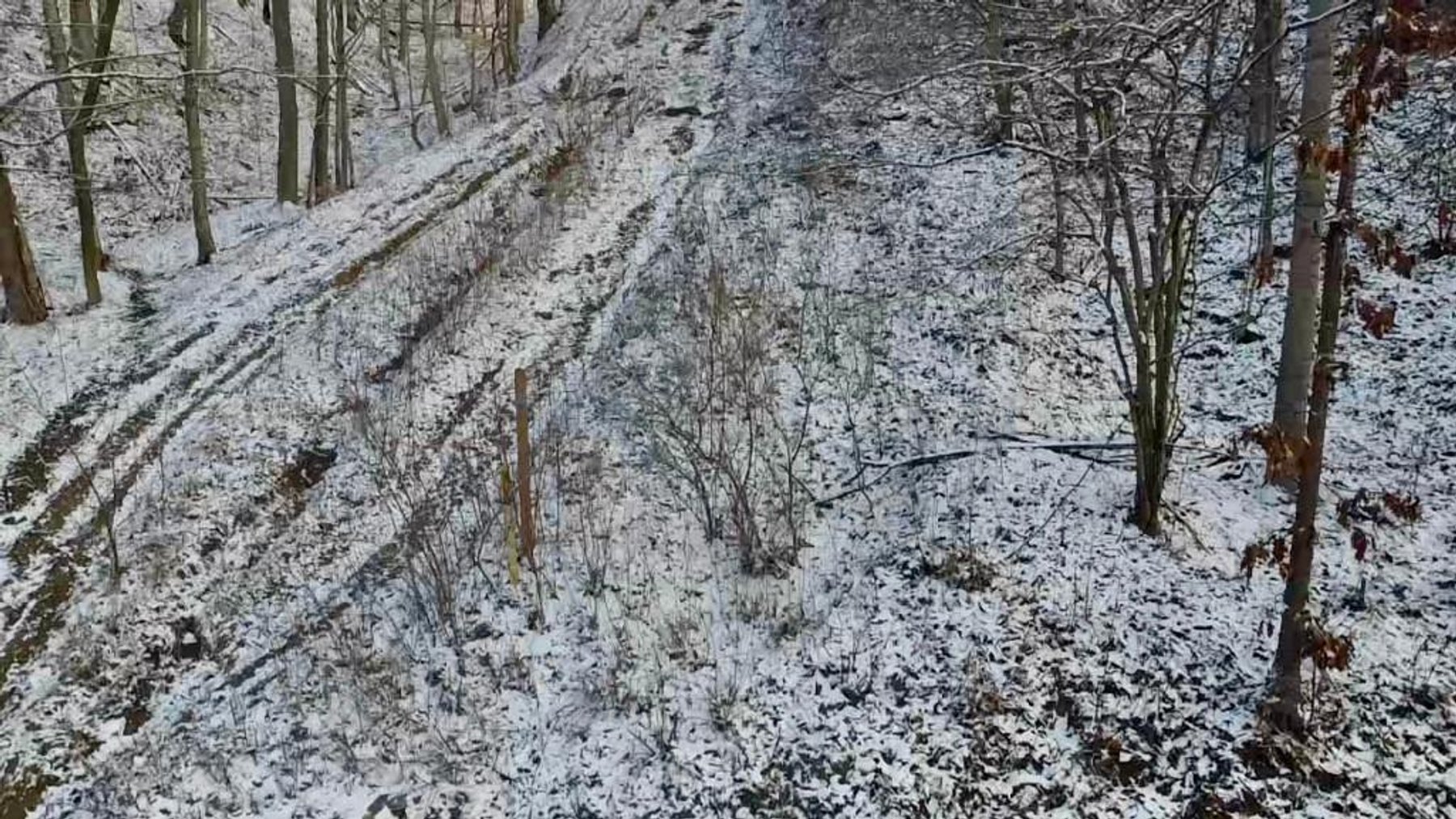 Image for SOLD - Over 2,600 Acres in Boone & Lincoln Counties Offered in Parcels