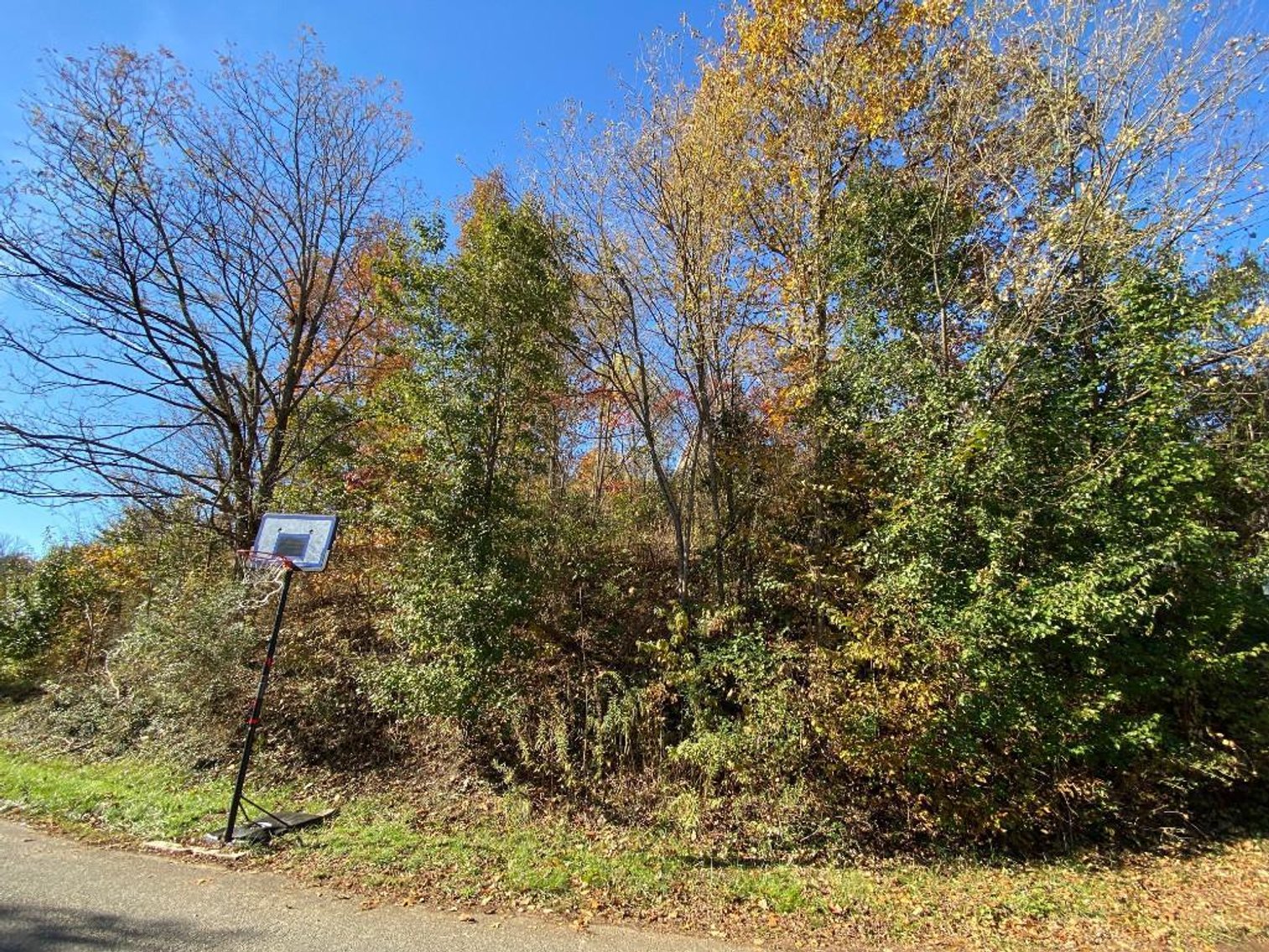 Image for SOLD $33,275 - 2 Bedroom Home & 7 Acres Selling to the Highest Bidders