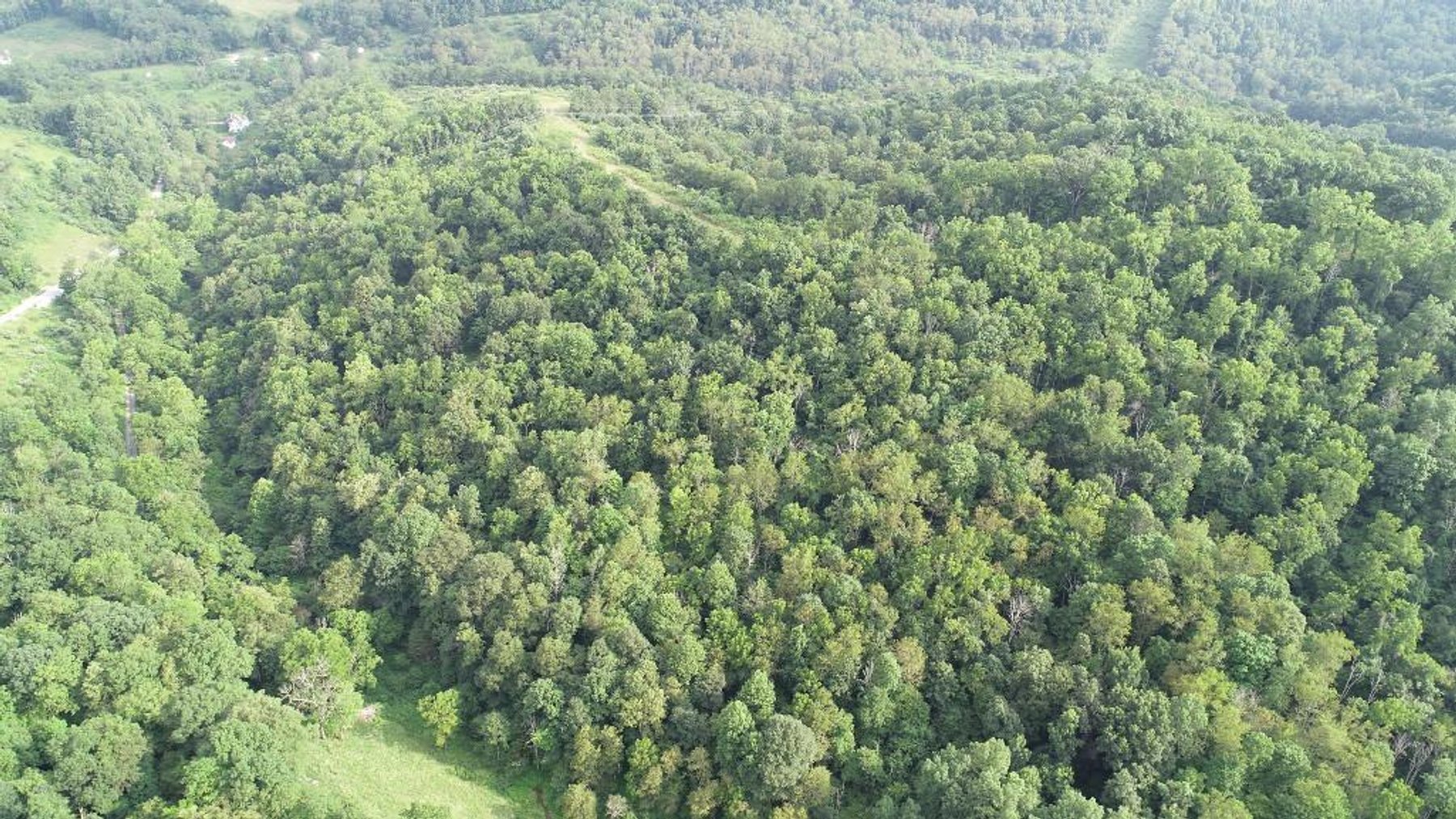 Image for SOLD $129,250 - 41 Acres in Greene County Offered in Parcels