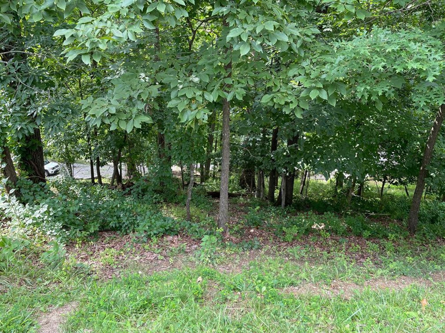 Image for SOLD - Land, Lots, & Mineral Interests Selling to the Highest Bidders