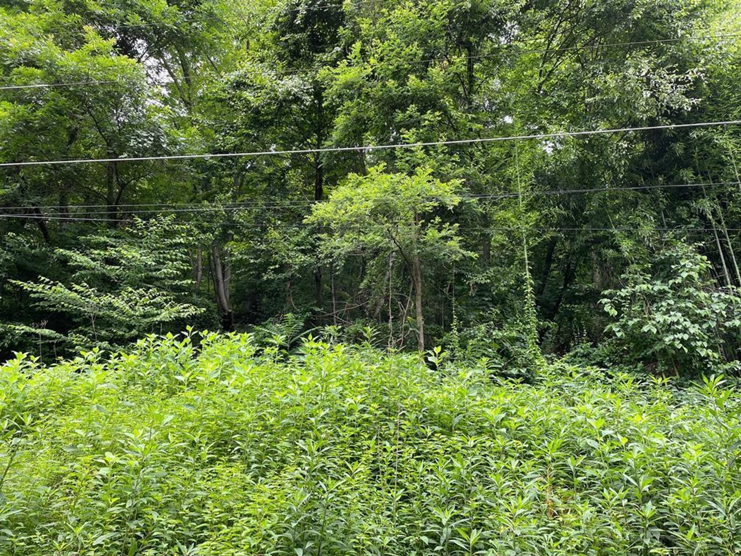 Image for SOLD - Land, Lots, & Mineral Interests Selling to the Highest Bidders