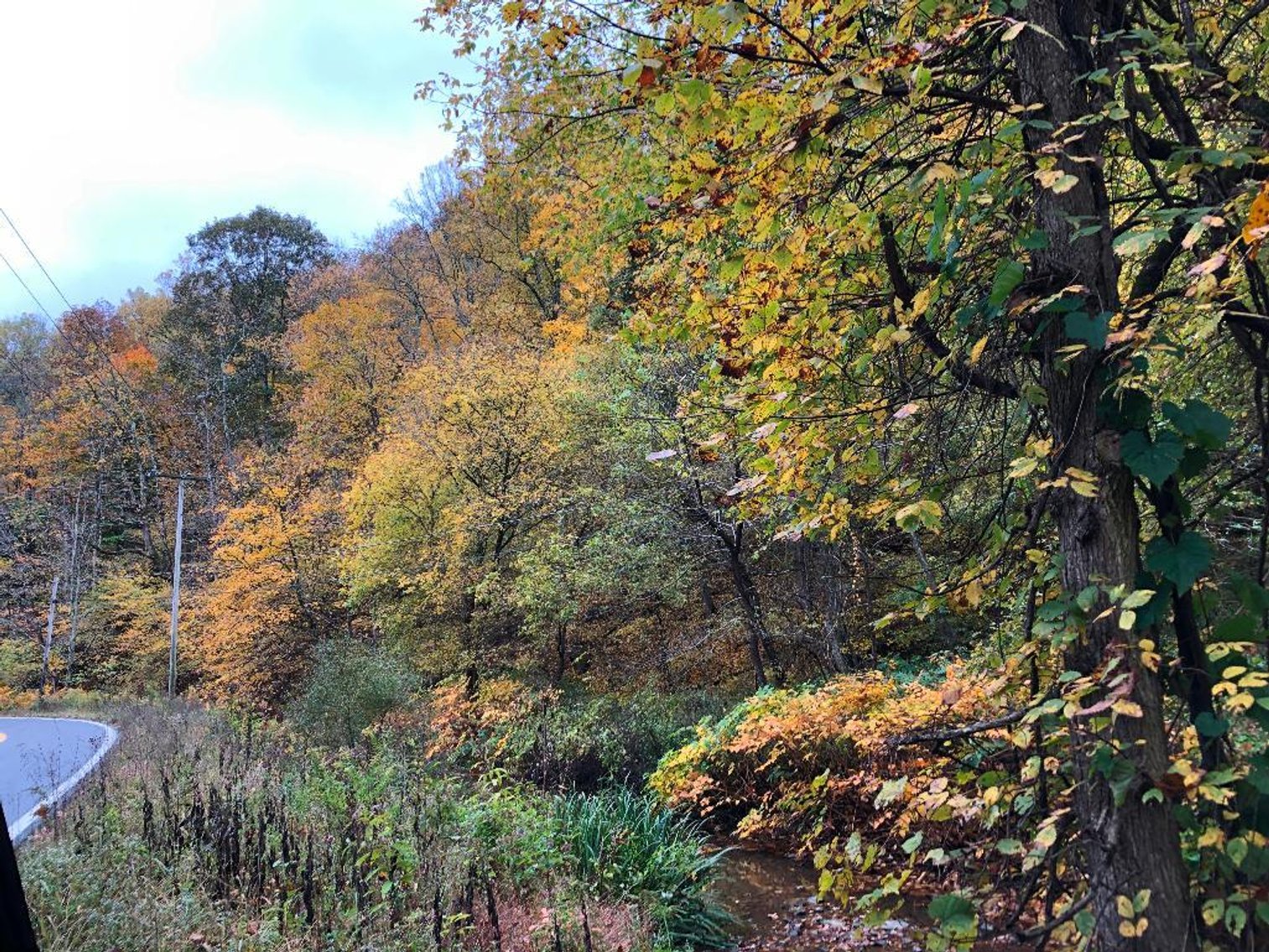 Image for SOLD - Over 1,000 Acres in Marion County Offered in 30 Parcels