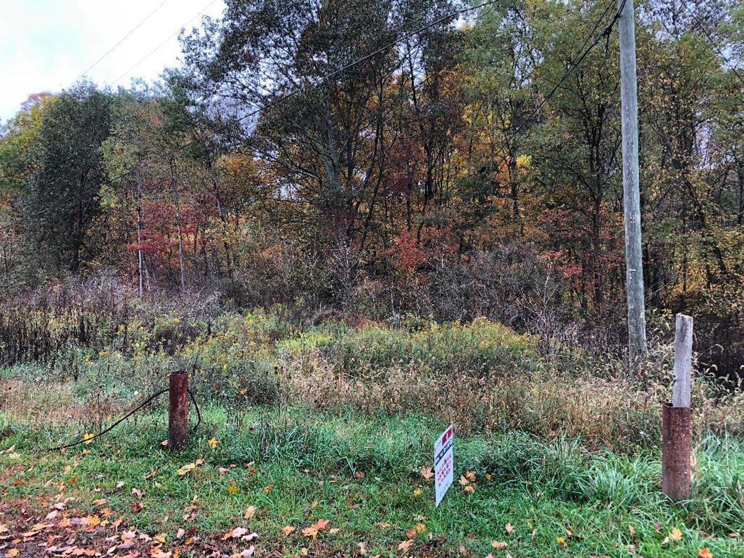 Image for SOLD - Over 1,000 Acres in Marion County Offered in 30 Parcels