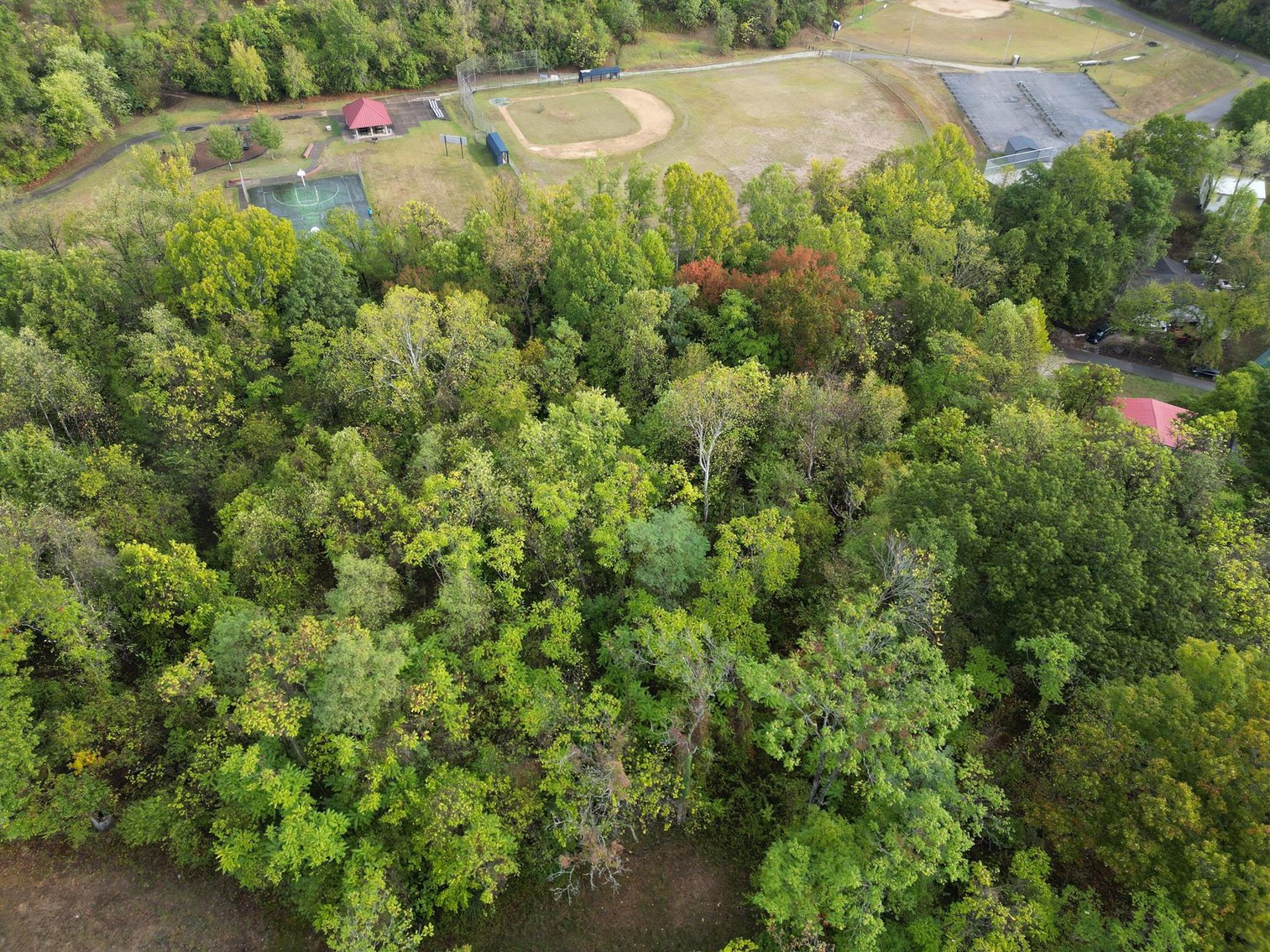 Image for SOLD $25,300 - 4.48 Acres Adjacent to Rotary Park in Huntington