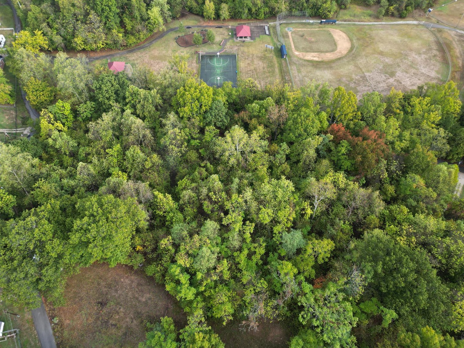 Image for SOLD $25,300 - 4.48 Acres Adjacent to Rotary Park in Huntington