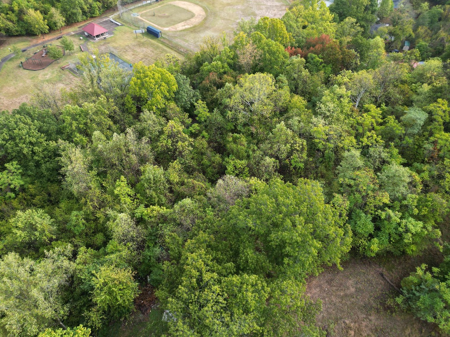 Image for SOLD $25,300 - 4.48 Acres Adjacent to Rotary Park in Huntington