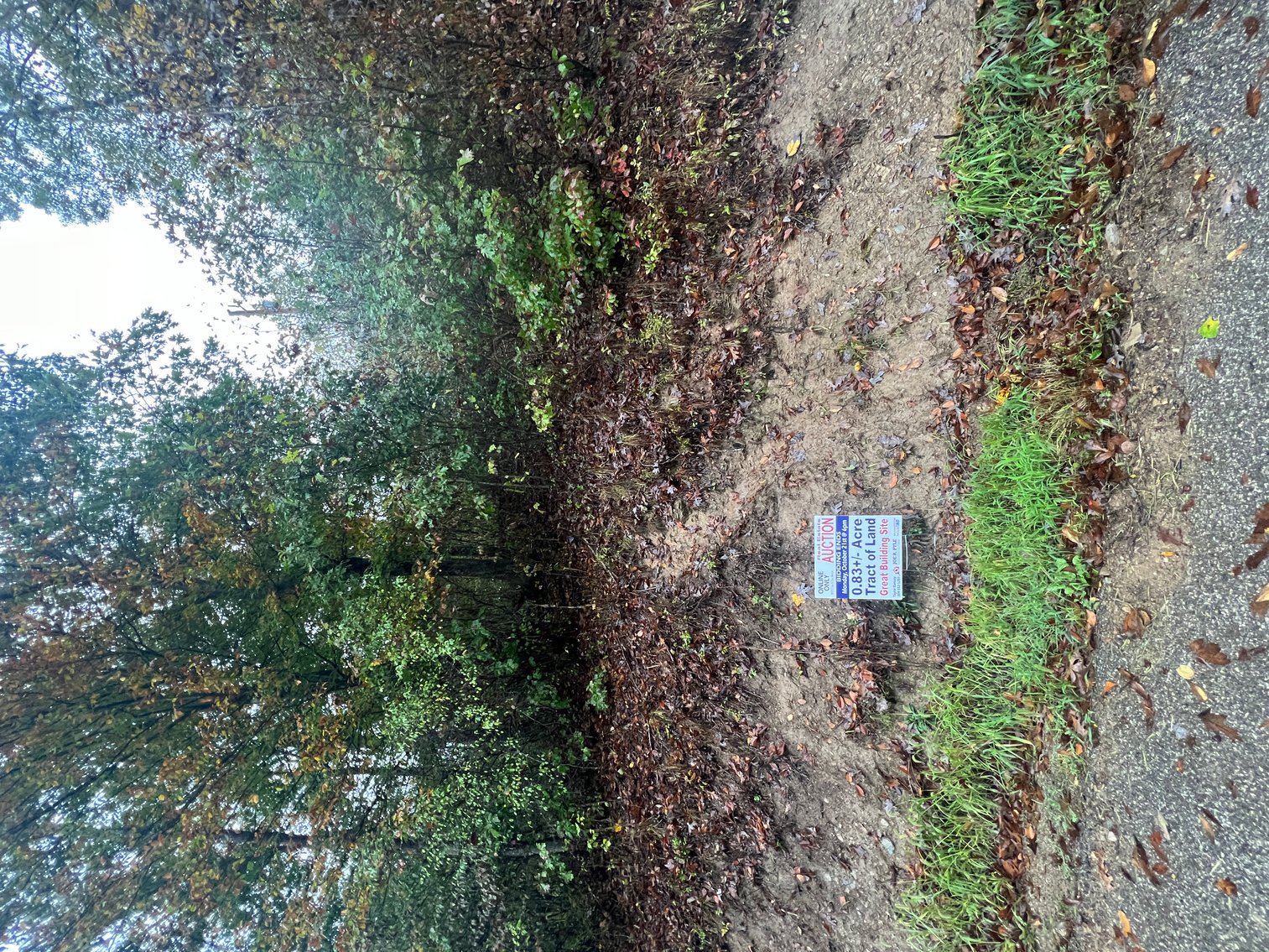 Image for SOLD $18,425 - 9 Acres in Lincoln County Selling to the Highest Bidder