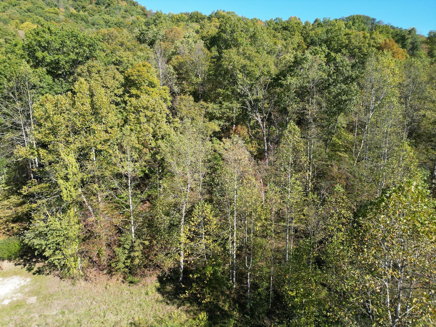 Image for SOLD $104,500 - 97 Private Acres in Boone County