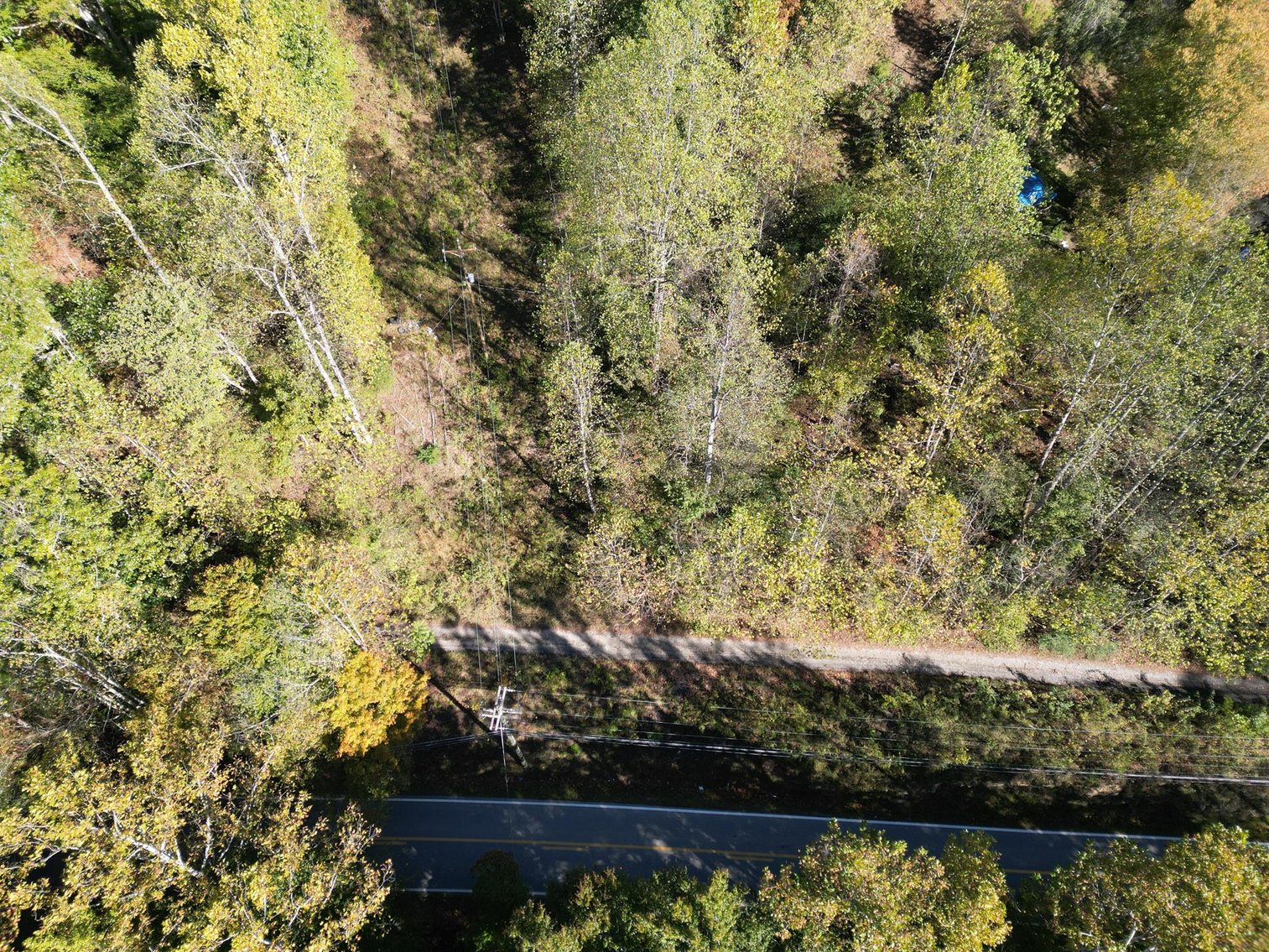 Image for SOLD $104,500 - 97 Private Acres in Boone County