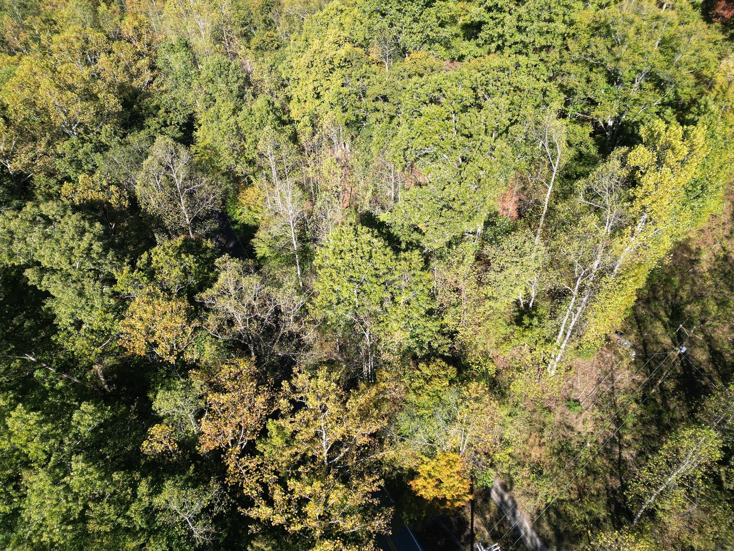 Image for SOLD $104,500 - 97 Private Acres in Boone County