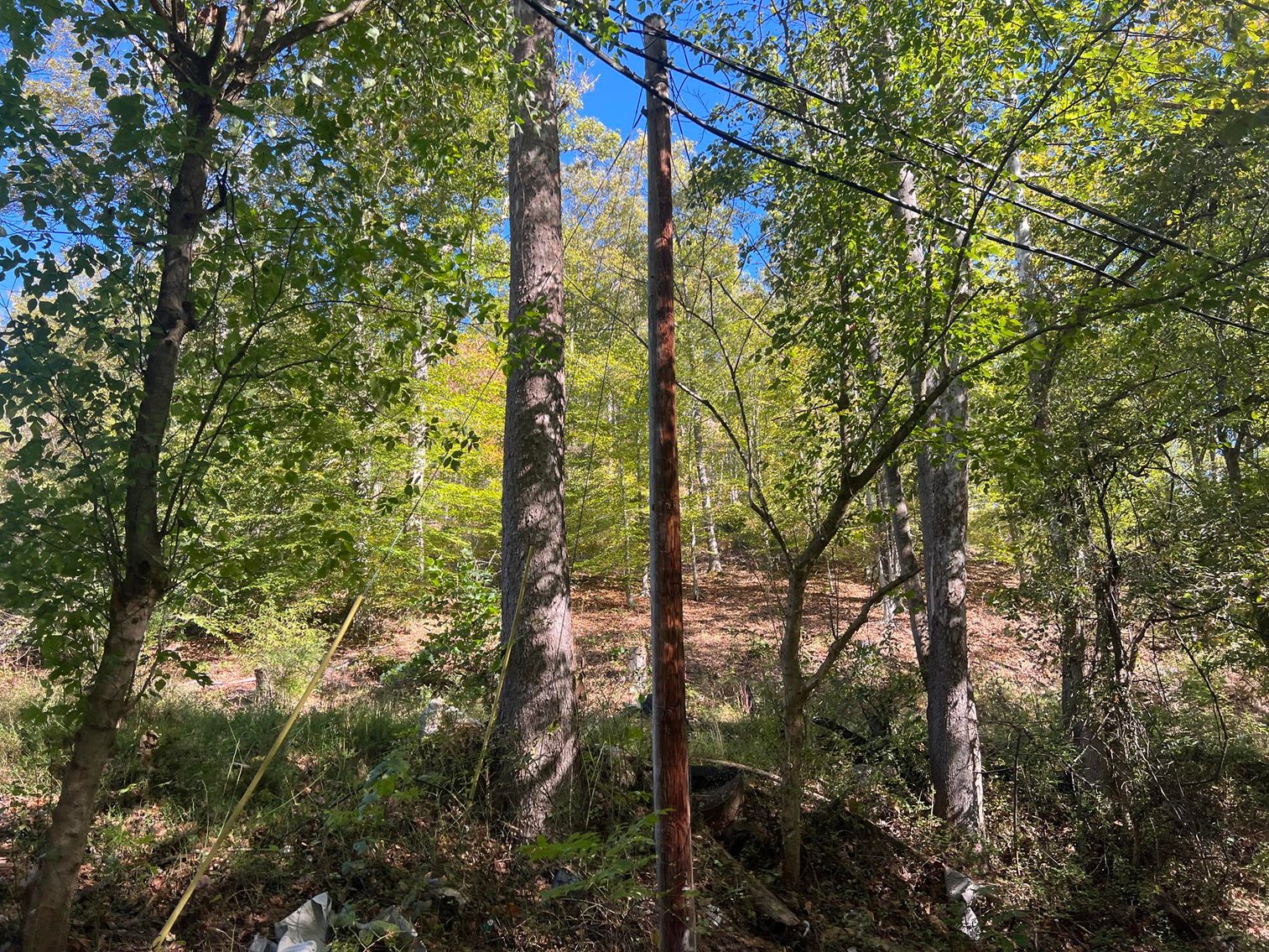 Image for SOLD $104,500 - 97 Private Acres in Boone County