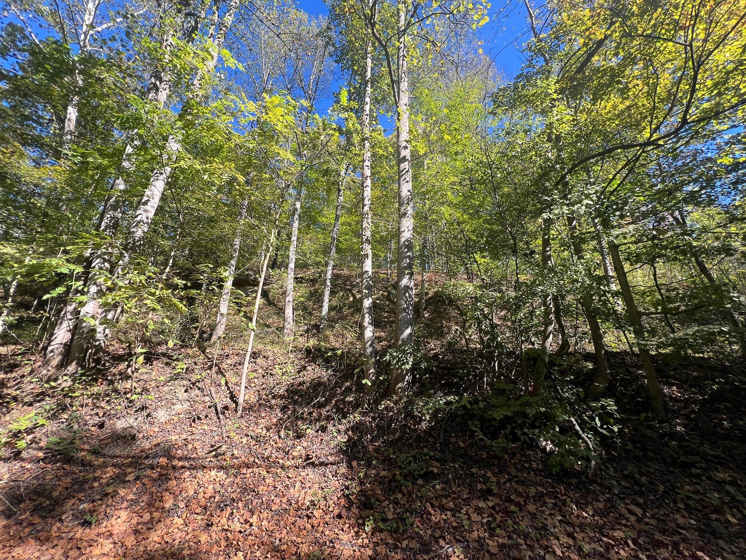 Image for SOLD $104,500 - 97 Private Acres in Boone County