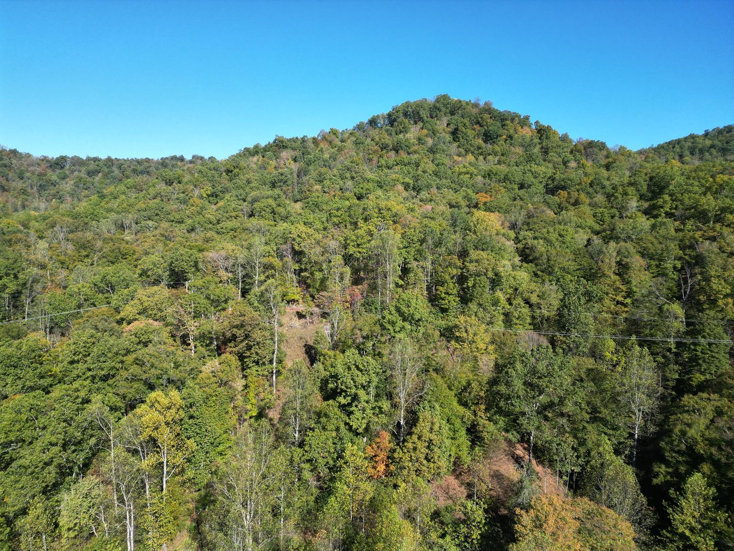 Image for SOLD $104,500 - 97 Private Acres in Boone County