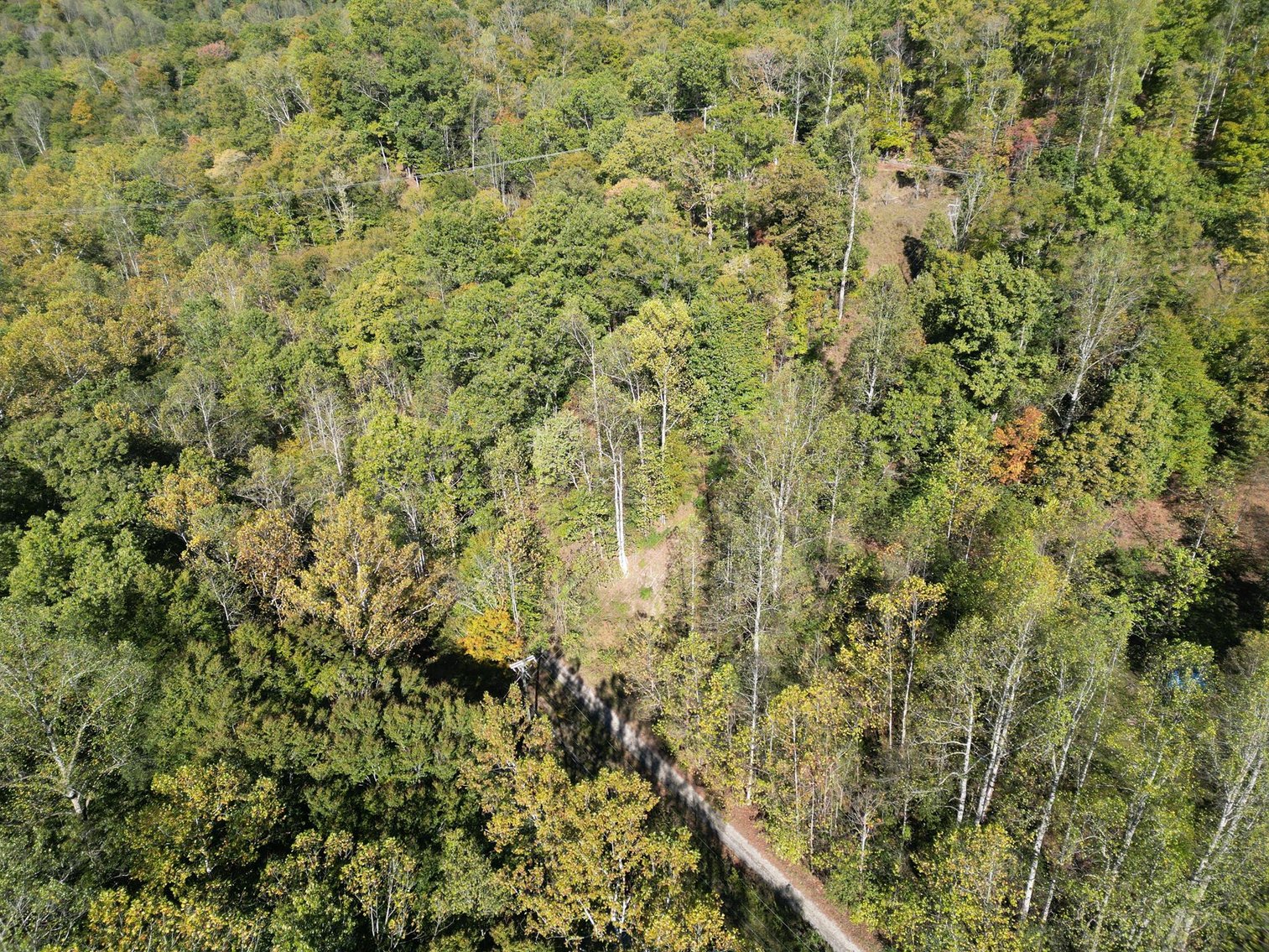 Image for SOLD $104,500 - 97 Private Acres in Boone County