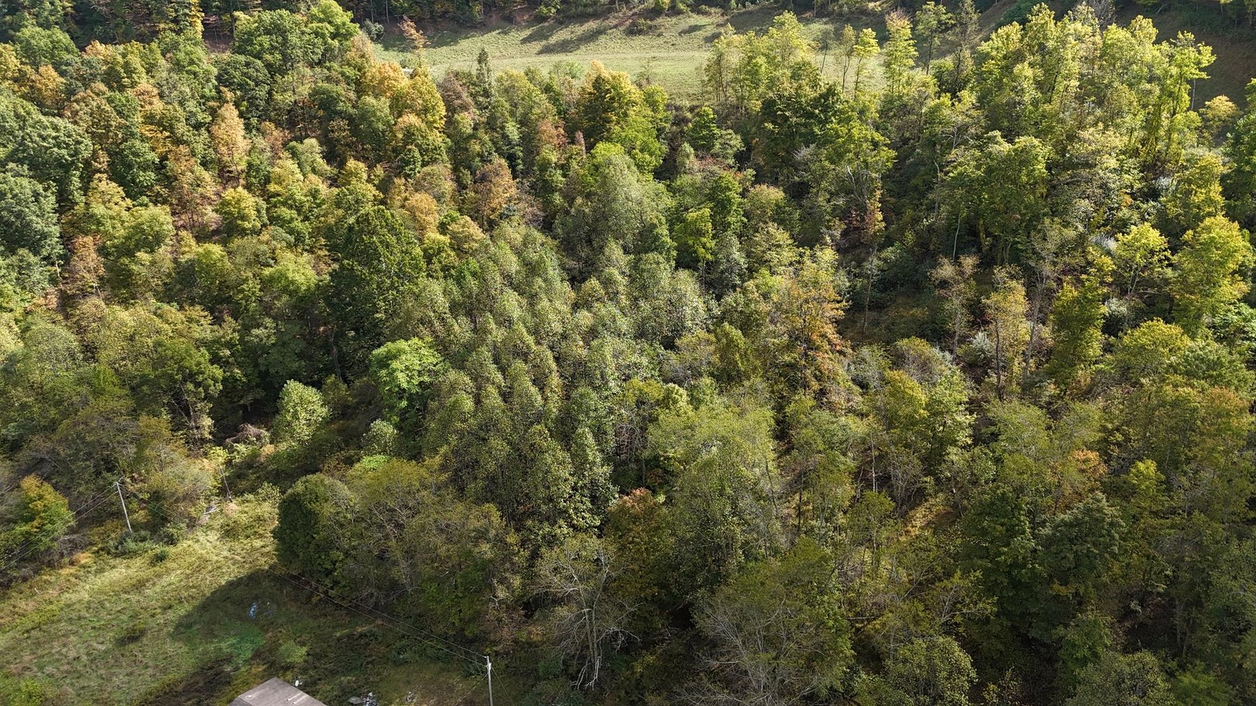 Image for SOLD $132,000 - 4 Bedroom on 36 Acres in Buckhannon