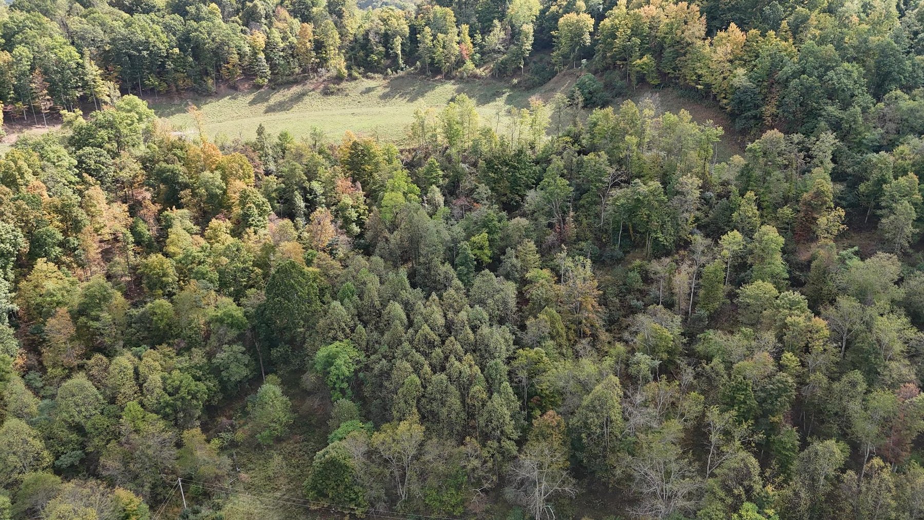 Image for SOLD $132,000 - 4 Bedroom on 36 Acres in Buckhannon