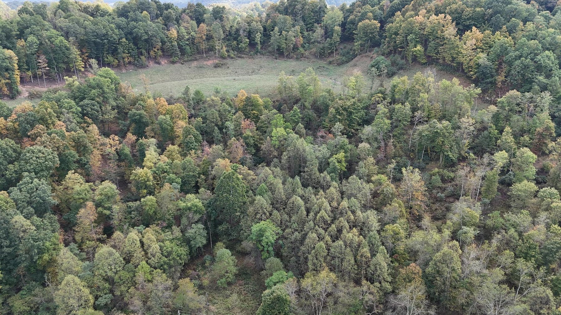 Image for SOLD $132,000 - 4 Bedroom on 36 Acres in Buckhannon