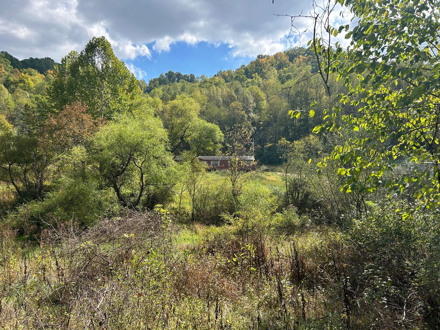 Image for SOLD $132,000 - 4 Bedroom on 36 Acres in Buckhannon