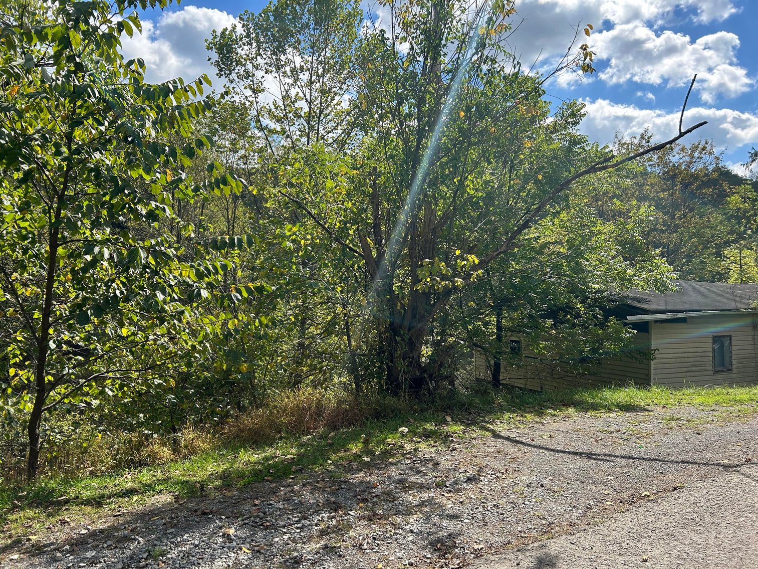 Image for SOLD $132,000 - 4 Bedroom on 36 Acres in Buckhannon