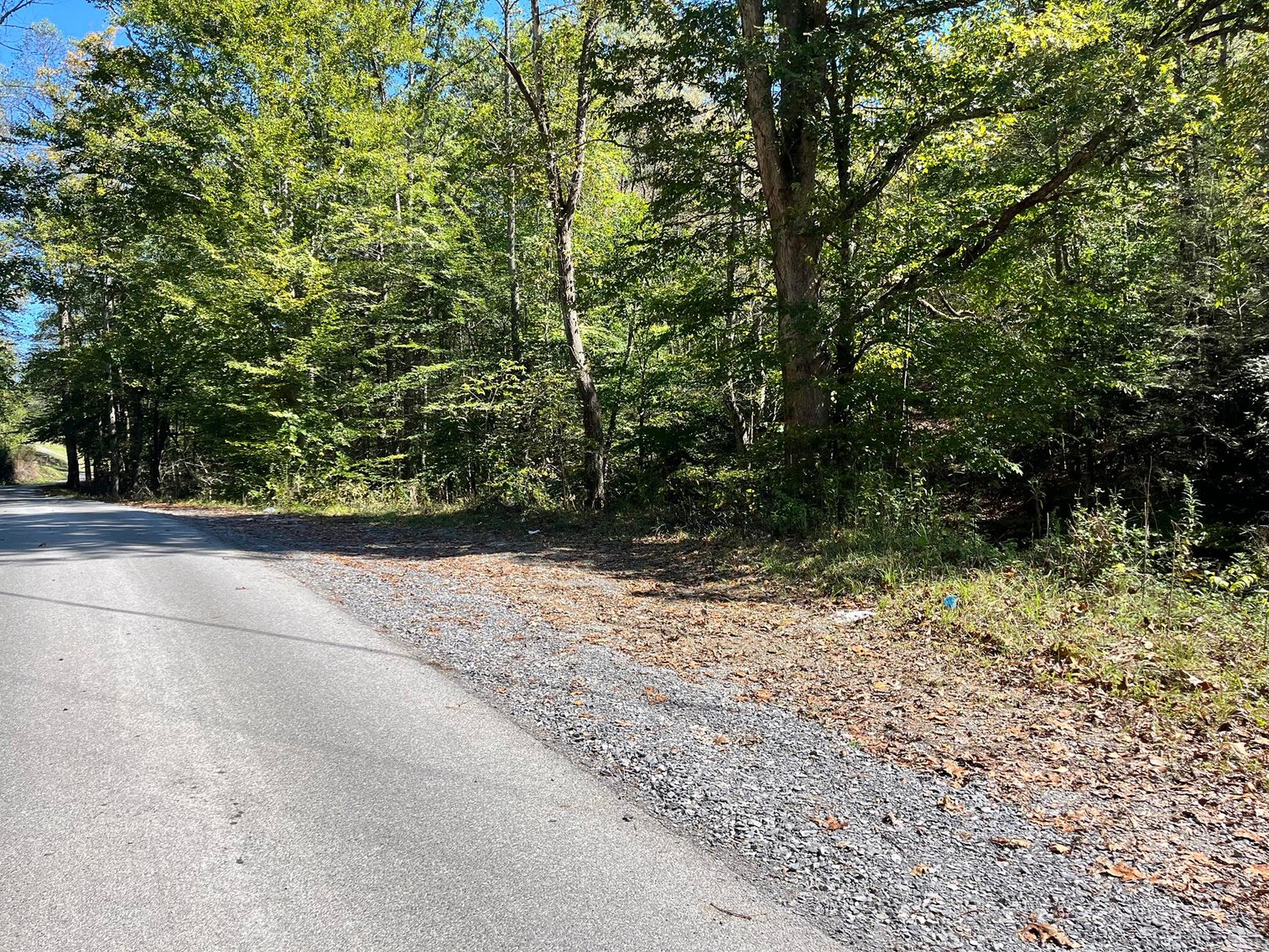 Image for SOLD $143,000 - 107 Acres with Mineral Rights & Timber in Wyoming County