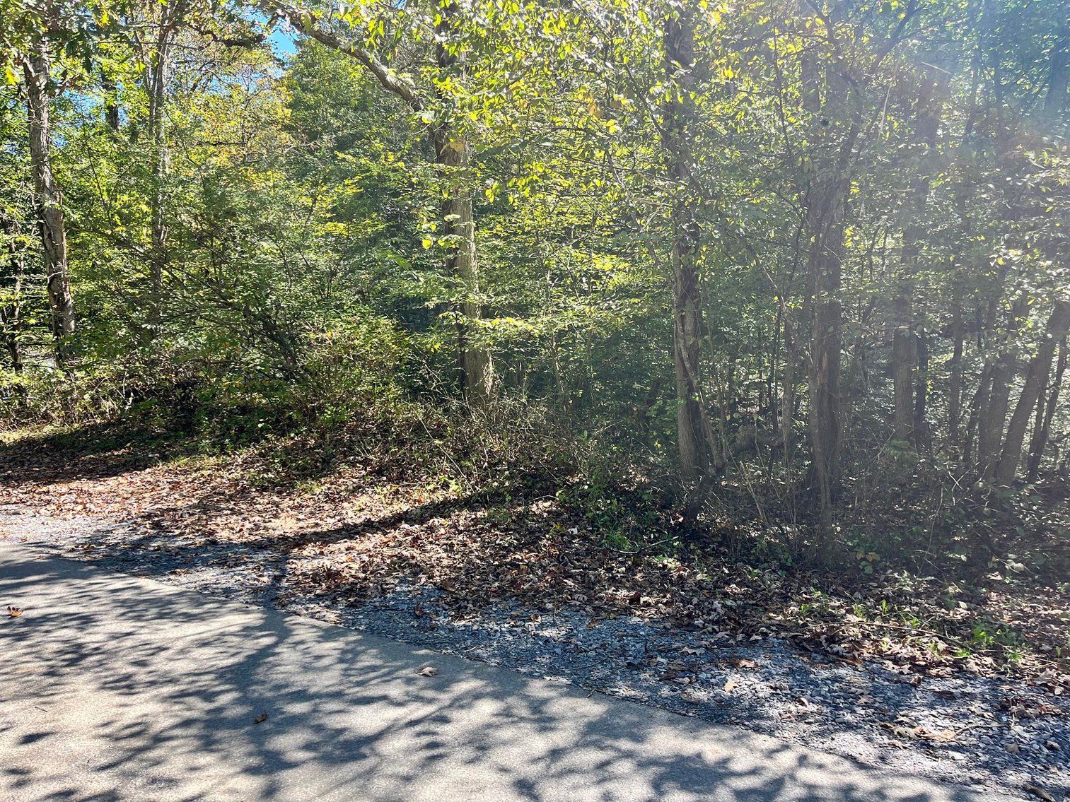 Image for SOLD $143,000 - 107 Acres with Mineral Rights & Timber in Wyoming County