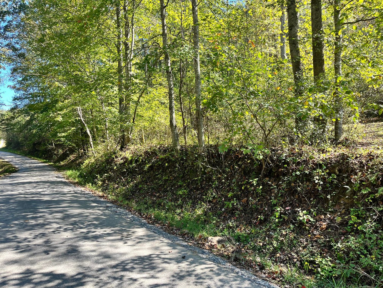 Image for SOLD $143,000 - 107 Acres with Mineral Rights & Timber in Wyoming County