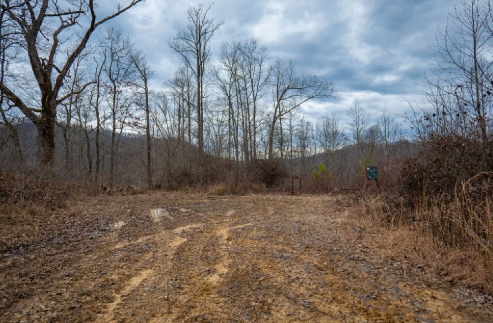 Image for SOLD $143,000 - 107 Acres with Mineral Rights & Timber in Wyoming County