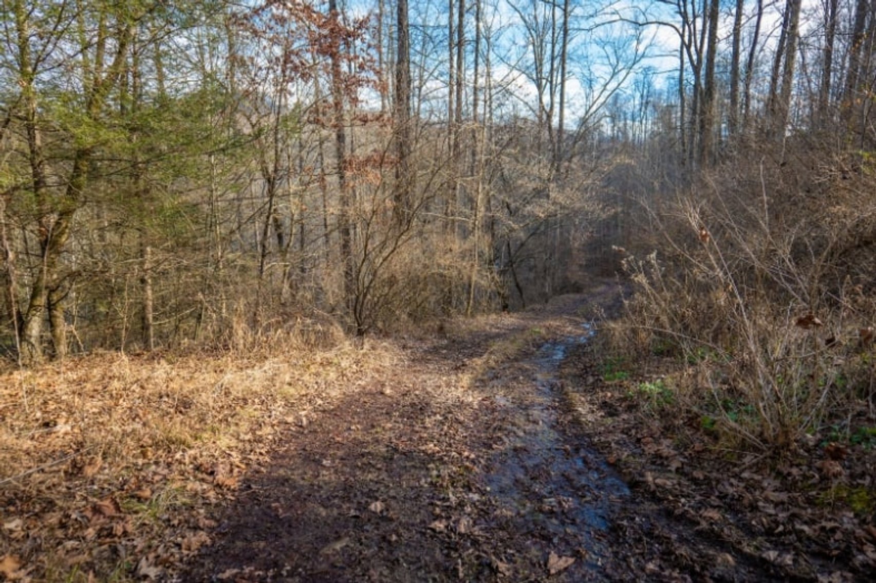 Image for SOLD $143,000 - 107 Acres with Mineral Rights & Timber in Wyoming County
