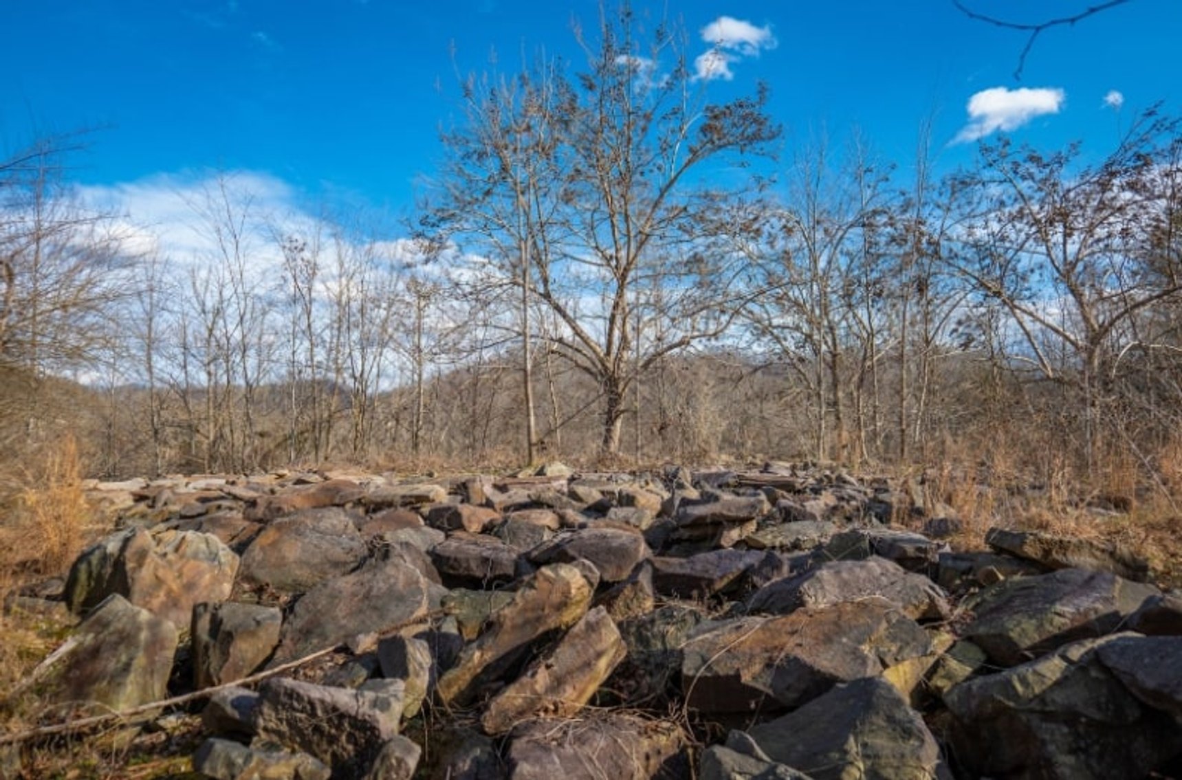 Image for SOLD $143,000 - 107 Acres with Mineral Rights & Timber in Wyoming County