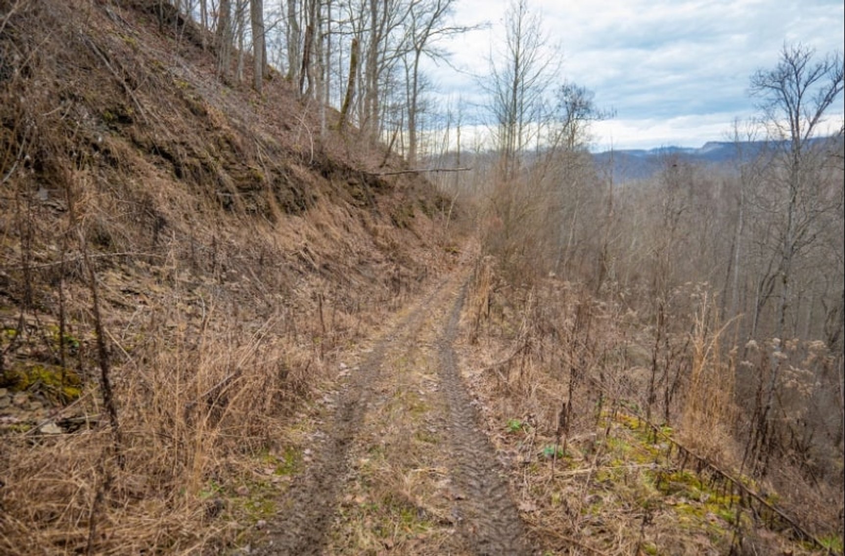 Image for SOLD $143,000 - 107 Acres with Mineral Rights & Timber in Wyoming County