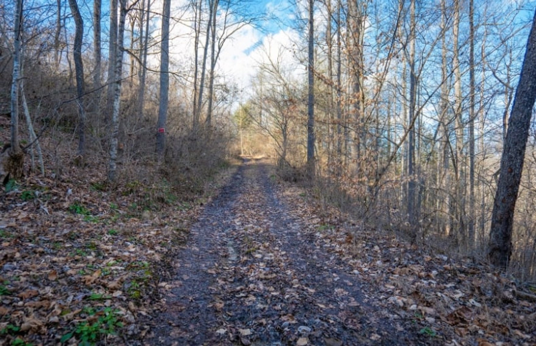 Image for SOLD $143,000 - 107 Acres with Mineral Rights & Timber in Wyoming County