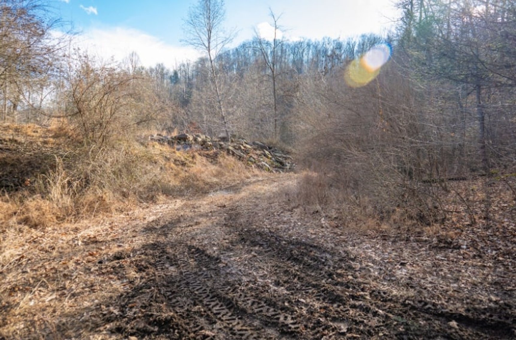 Image for SOLD $143,000 - 107 Acres with Mineral Rights & Timber in Wyoming County