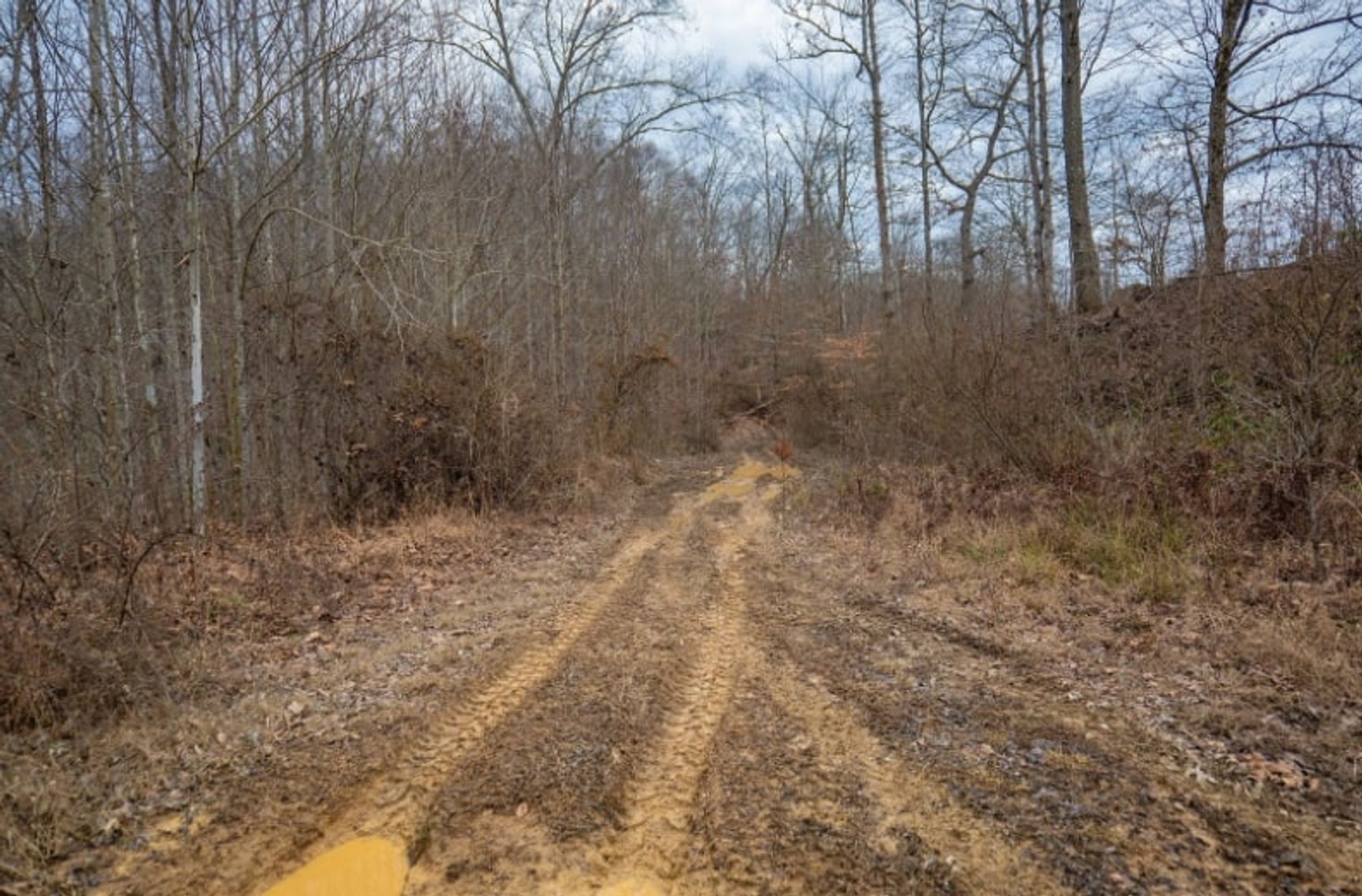 Image for SOLD $143,000 - 107 Acres with Mineral Rights & Timber in Wyoming County