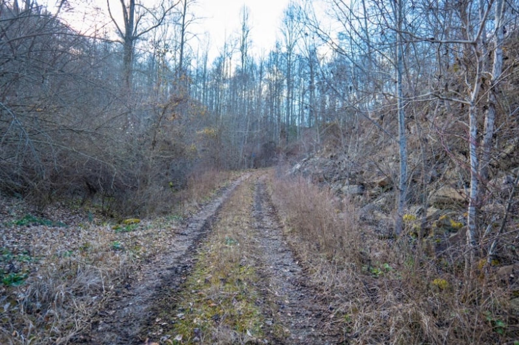 Image for SOLD $143,000 - 107 Acres with Mineral Rights & Timber in Wyoming County