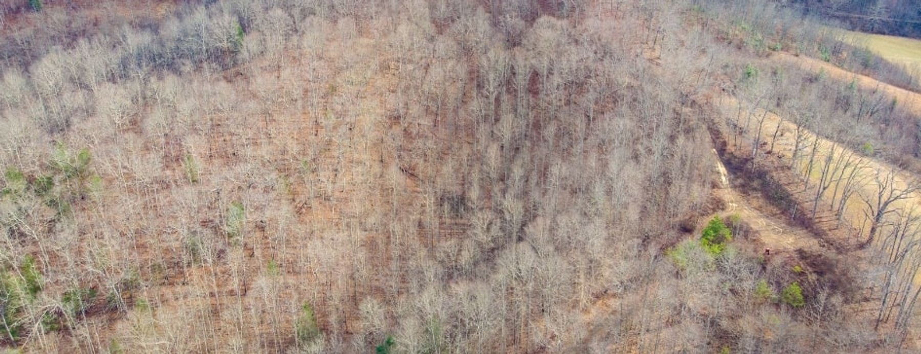 Image for SOLD $143,000 - 107 Acres with Mineral Rights & Timber in Wyoming County