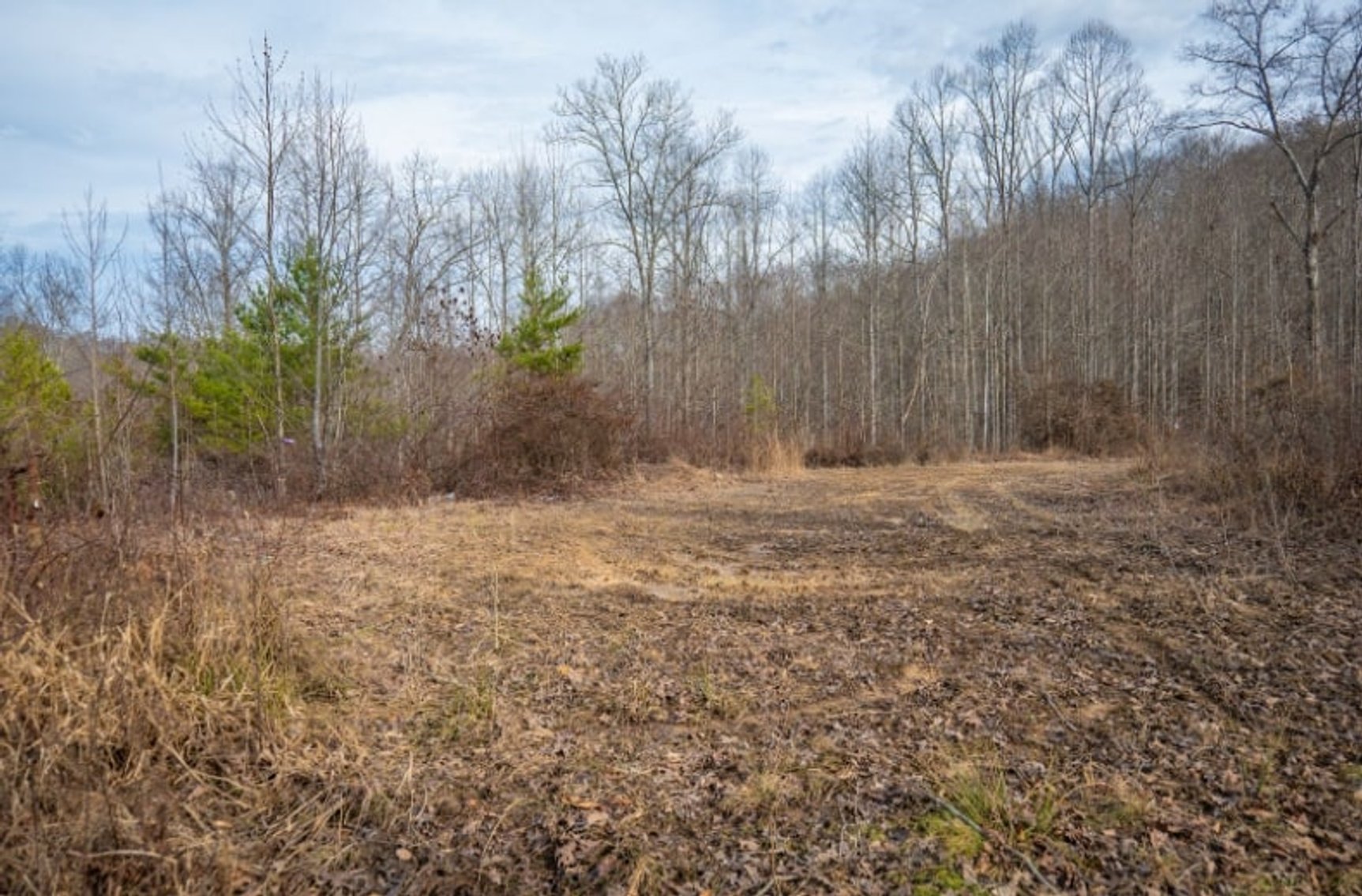 Image for SOLD $143,000 - 107 Acres with Mineral Rights & Timber in Wyoming County