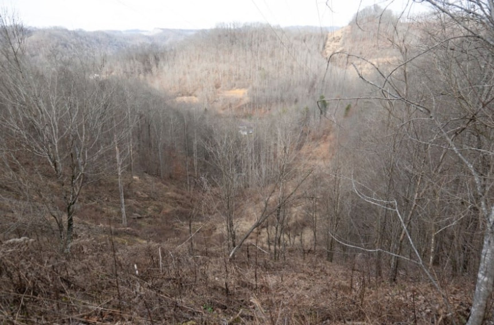 Image for SOLD $143,000 - 107 Acres with Mineral Rights & Timber in Wyoming County