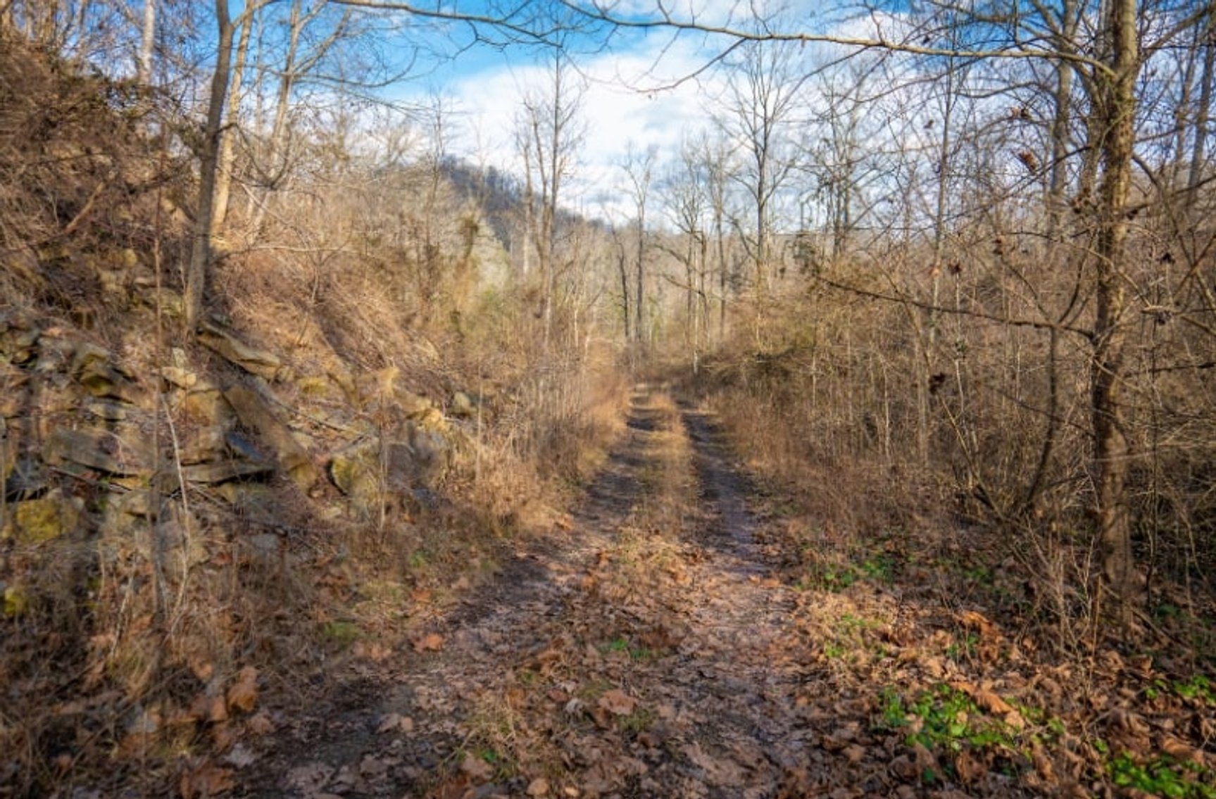 Image for SOLD $143,000 - 107 Acres with Mineral Rights & Timber in Wyoming County