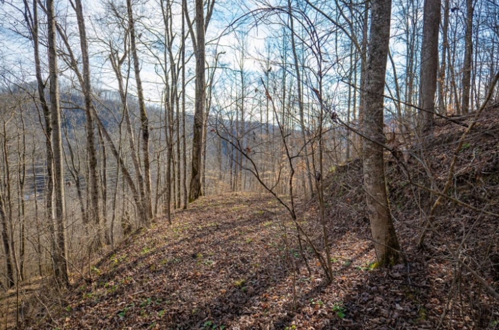 Image for SOLD $143,000 - 107 Acres with Mineral Rights & Timber in Wyoming County