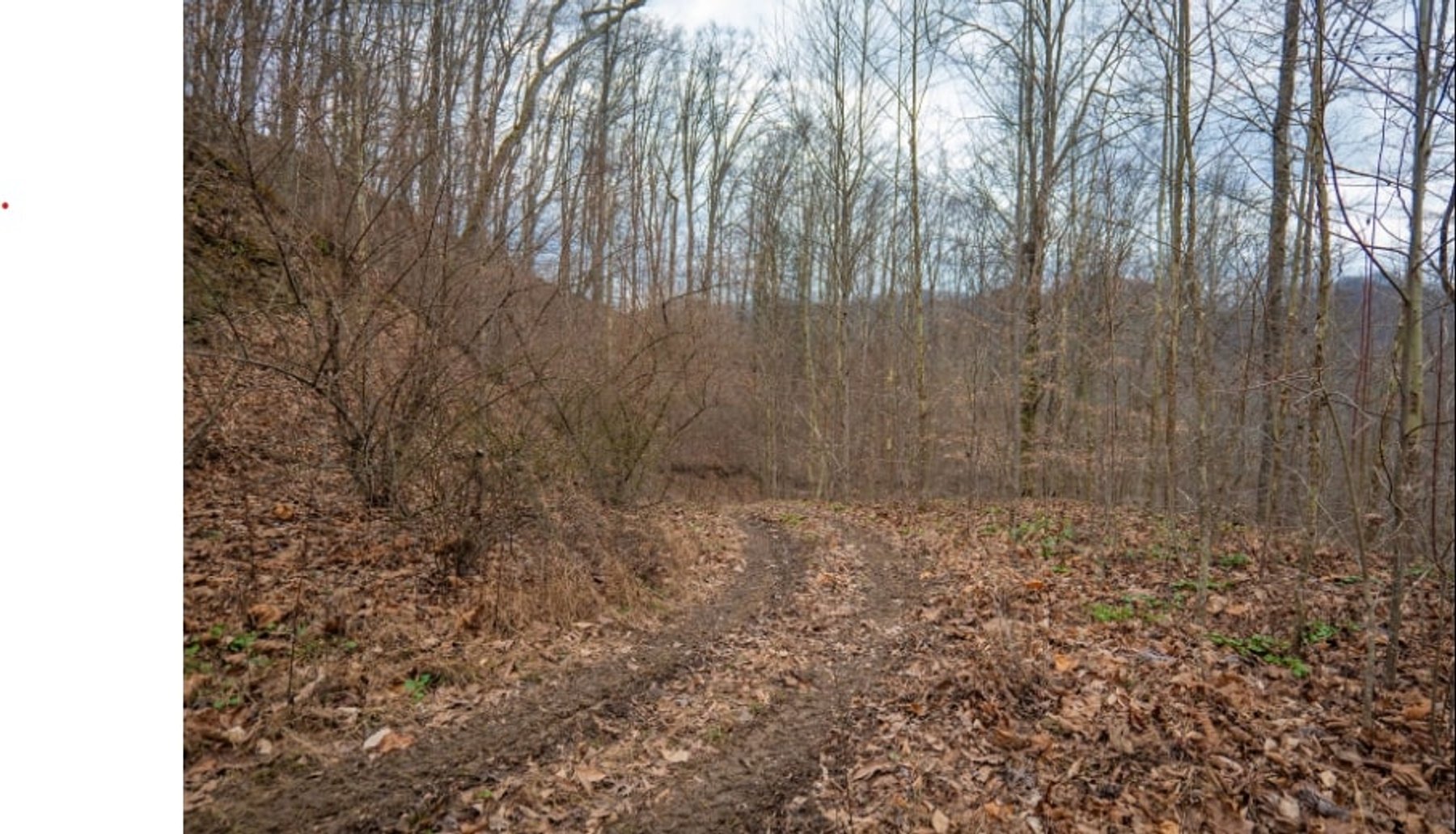 Image for SOLD $143,000 - 107 Acres with Mineral Rights & Timber in Wyoming County