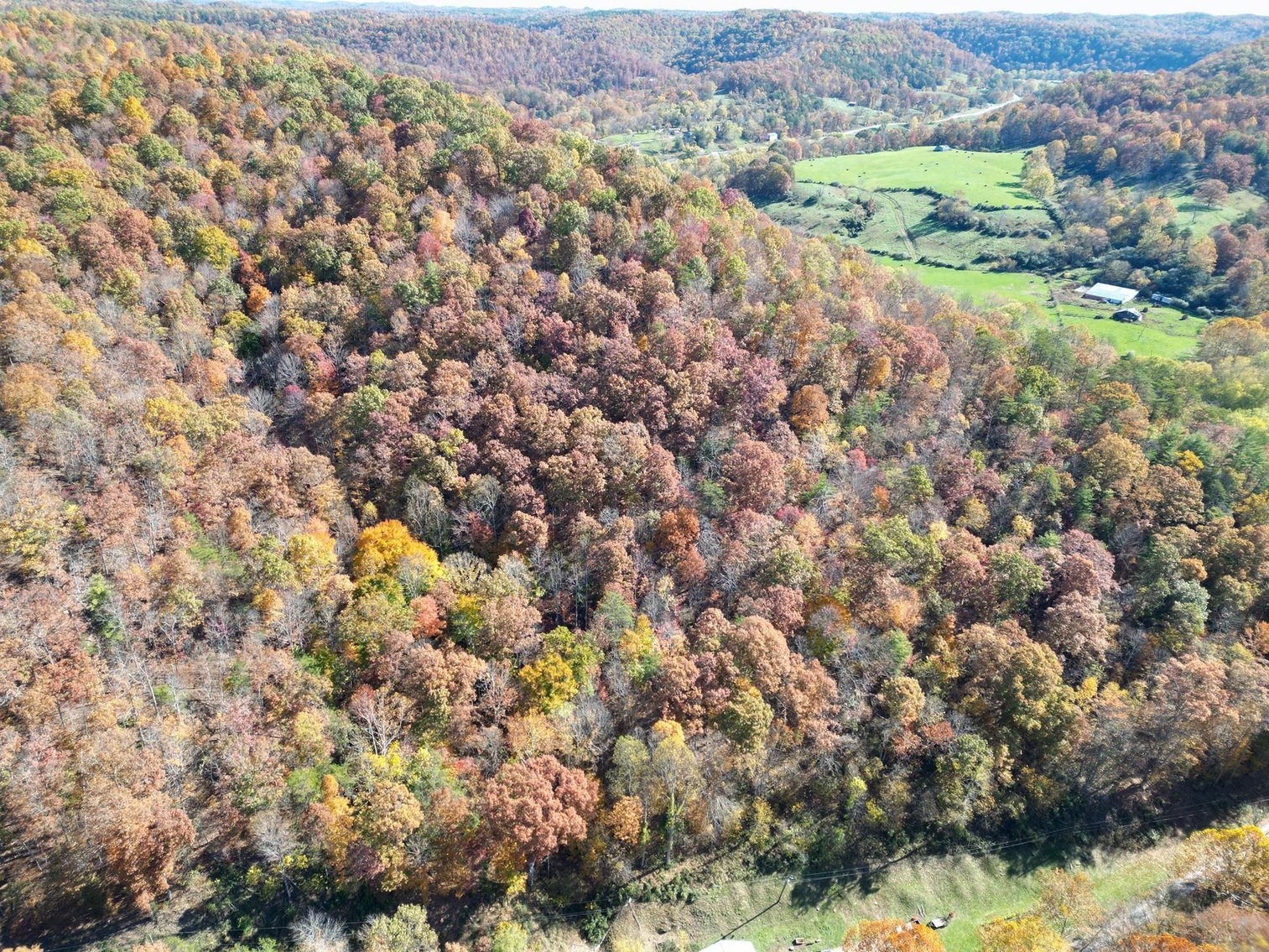 Image for SOLD $31,900 - Nearly 37 Wooded Acres in Calhoun County