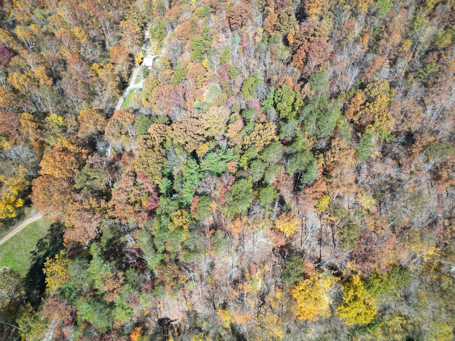 Image for SOLD $31,900 - Nearly 37 Wooded Acres in Calhoun County