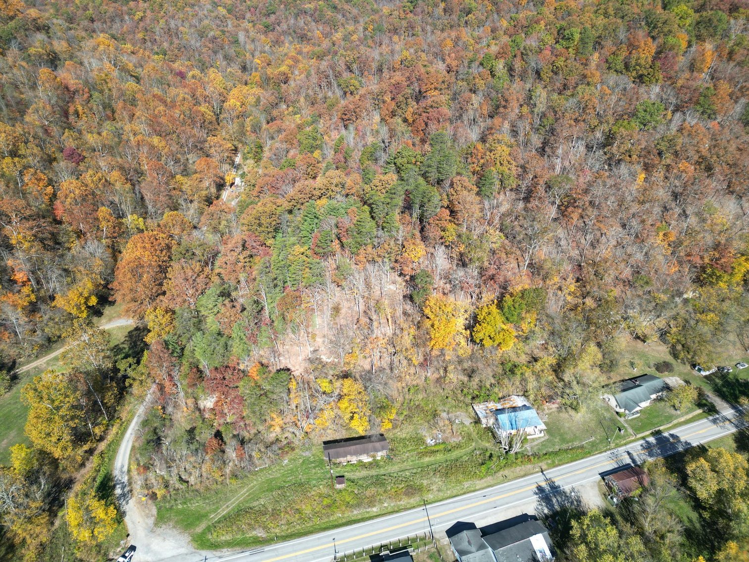 Image for SOLD $31,900 - Nearly 37 Wooded Acres in Calhoun County