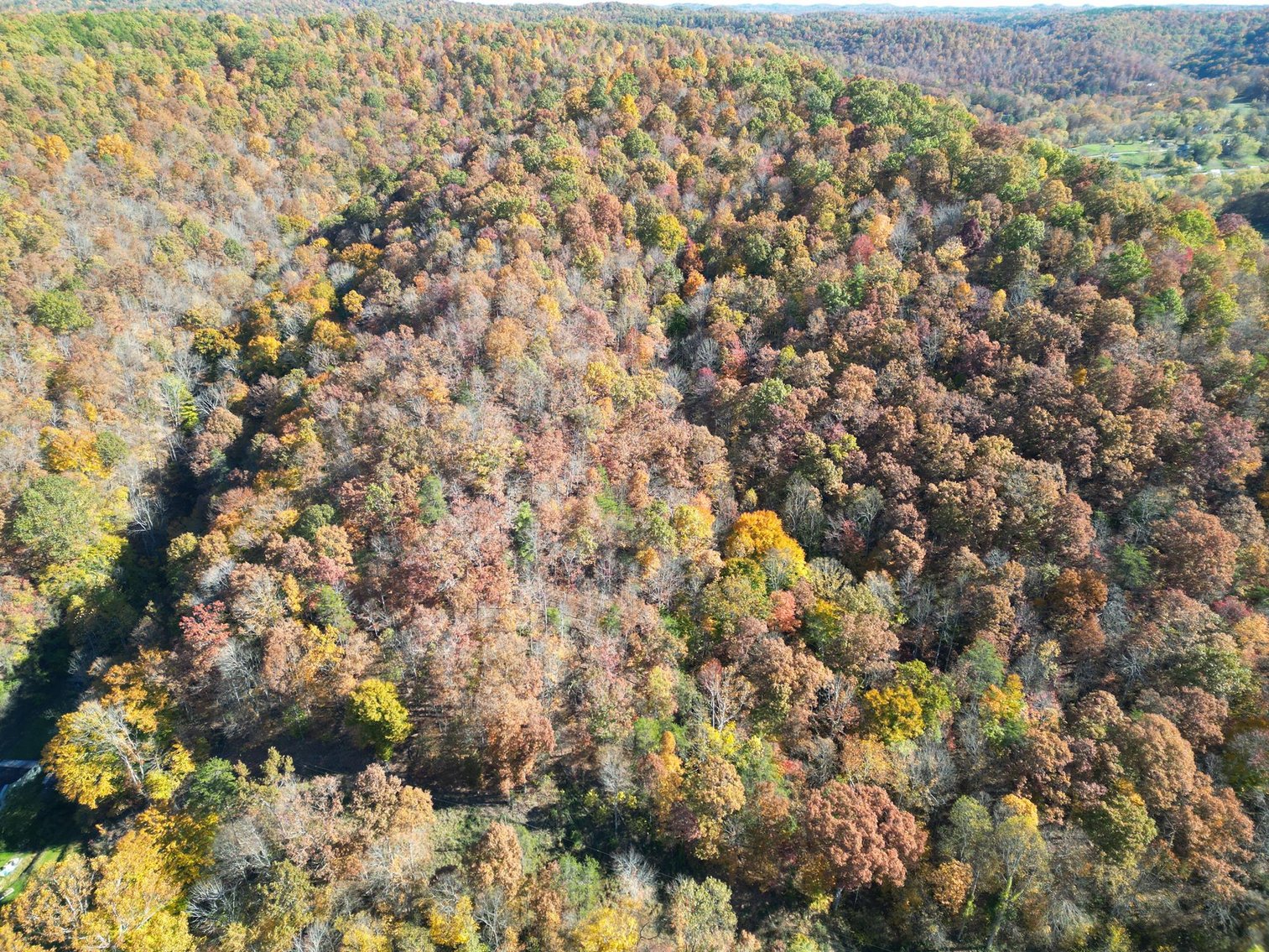 Image for SOLD $31,900 - Nearly 37 Wooded Acres in Calhoun County