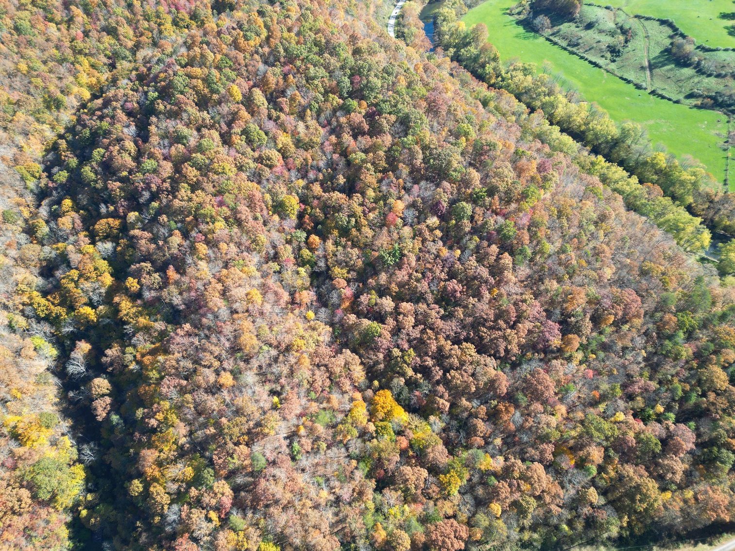 Image for SOLD $31,900 - Nearly 37 Wooded Acres in Calhoun County