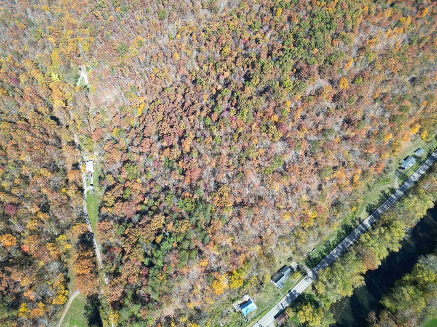 Image for SOLD $31,900 - Nearly 37 Wooded Acres in Calhoun County