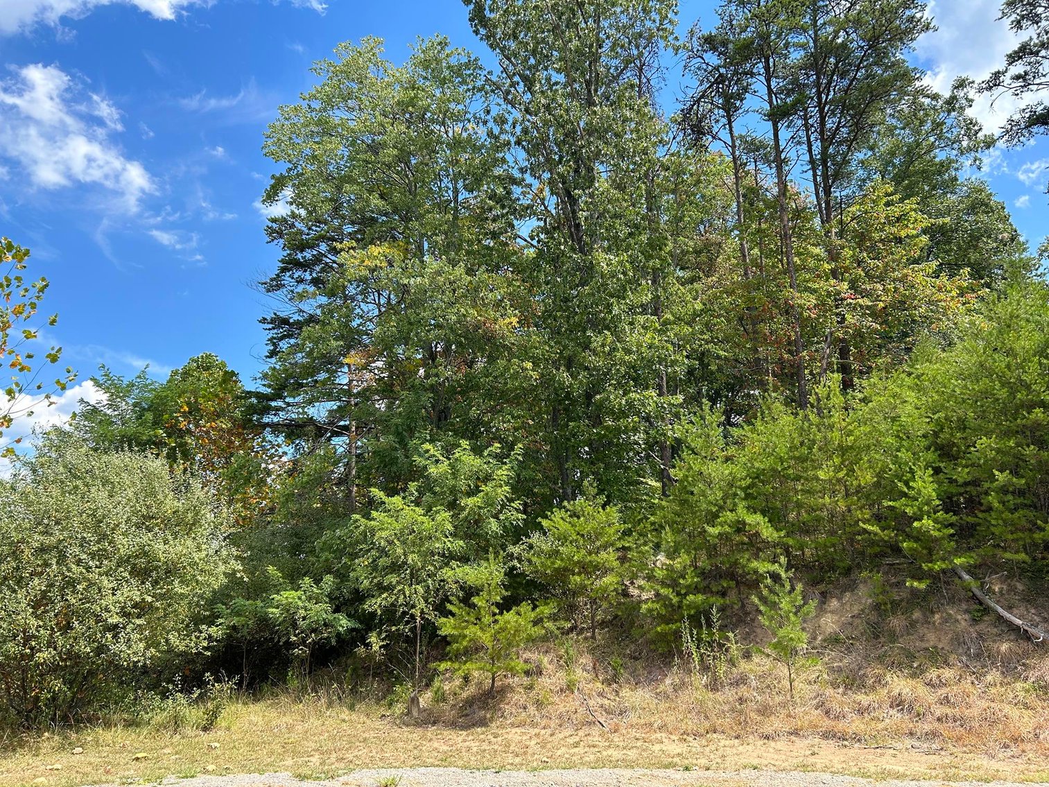 Image for SOLD $129,250 - Spacious Lots in Chrystal Estates Subdivision of Barboursville