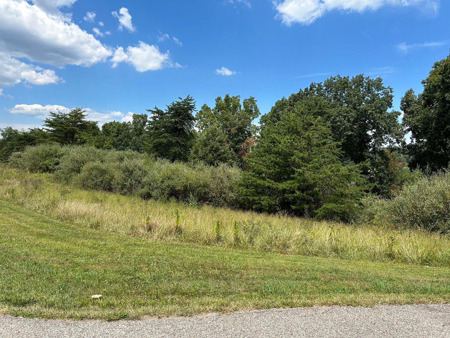 Image for SOLD $129,250 - Spacious Lots in Chrystal Estates Subdivision of Barboursville